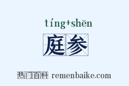 庭参是什么意思的图片
